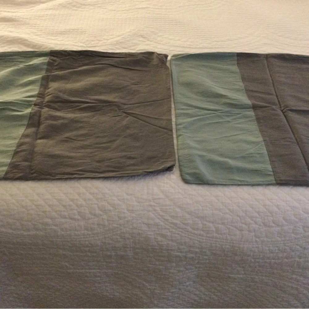 West Elm 100% Silk Pillow Shams